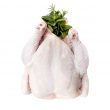 Frango
